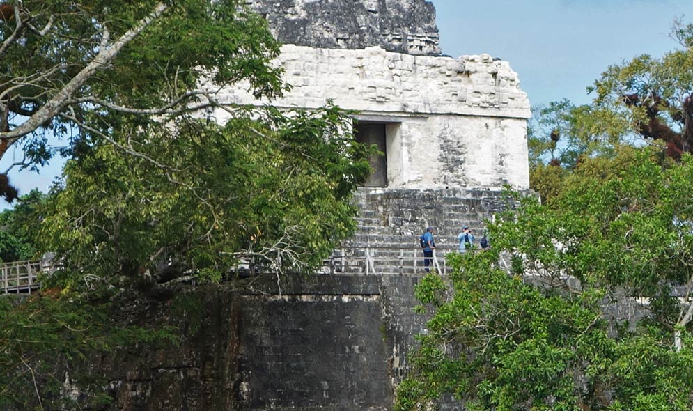 Tikal Mayan Temples Tour